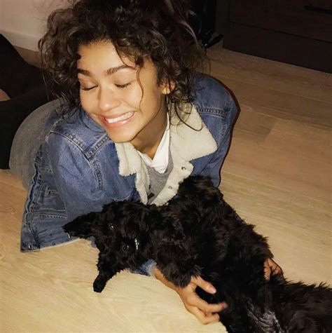 zendaya coleman instagram|who runs zendaya dog instagram.